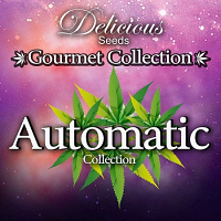 Delicious Seeds Gourmet Auto Mix #1 Feminized