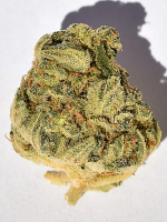 Big Head Seeds Bruce Banger Feminized