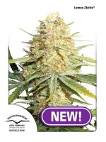 Dutch Passion Seeds Lemon Zkittle® Feminized