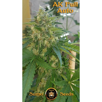 Sumo Seeds AK Full Auto Feminized