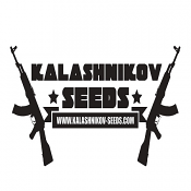 Feminized Mix Pack - Kalashnikov Seeds