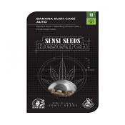 Banana Kush Cake Auto - Feminized - Sensi Seeds Research