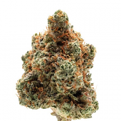 Monkey Glue Auto - Feminized - Growers Choice