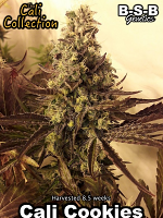 Cali Cookies - Feminized - BSB Genetics