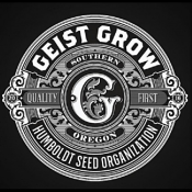 31 Ghosts - Regular - Geist Grow