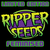 Sour Face x Animal Cookies - Feminized - Ripper Seeds