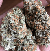 OG Lemon Garlic - Feminized - BSB Genetics