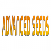 Auto Cherry Pie - Feminized - Advanced Seeds