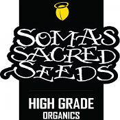 So Mint Cookies - Feminized - Soma Seeds