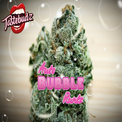 Bubble Runtz Auto - Feminized - Tastebudz