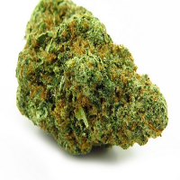 Professor Trichome Bulk Seeds Gelato Feminized