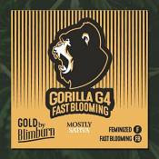Gorilla Glue #4 Fast - Feminized - BlimBurn