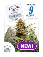 Dutch Passion Seeds CBD Mix Feminized