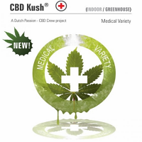 CBD Kush® - Feminized - Dutch Passion