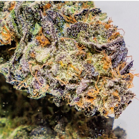 Cherry Impossible - Regular - Massive Creations