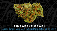 Top Shelf Elite Seeds Pineapple Crack Feminized