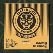 Santa Muerte Fast - Feminized - BlimBurn