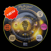 Green House Seeds Indica Mix H Feminised