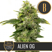 Steve Deangelo's Alien OG - Feminized - BlimBurn Seeds