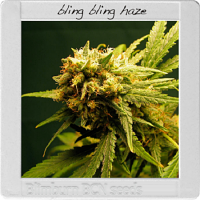 Blimburn Seeds Blimburn Bcn Range Bling-Bling Haze Feminized