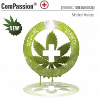 Dutch Passion Seeds ComPassion Feminized