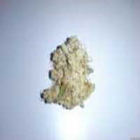 Medical Seeds No Name Feminized