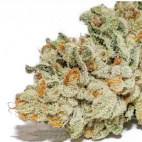 Thor’s Hammer - Regular - Massive Creations