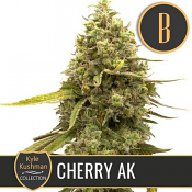 Kyle Kushman's Cherry AK - Feminized - BlimBurn Seeds
