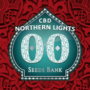 Northern Lights CBD - Feminized - OO Seeds