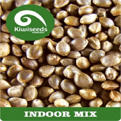 Indoor Mix - Feminized - Kiwi Seeds