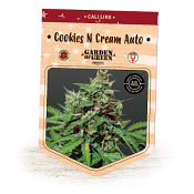 Cookies N Cream Auto – Feminized – Garden of Green