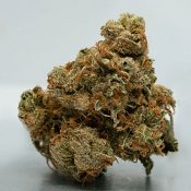 Banana Kush - Feminized - Professor Trichome