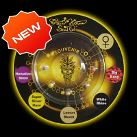 Green House Seeds Sativa/Indica Mix C Feminised