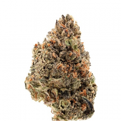 Tangie Punch - Feminized - Growers Choice