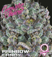 Rainbow Candy - Feminized - Growers Choice