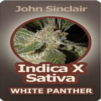John Sinclair Seeds Indica x Sativa White Panther Feminized