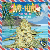 Wy-Kiki - Feminized - T.H.Seeds