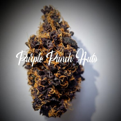 Purple Punch Auto - Feminized - Tastebudz