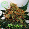 Sagarmatha Seeds Slyder Regular