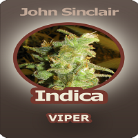 John Sinclair Seeds Indica Viper Feminized