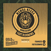 Mamba Negra Fast - Feminized - BlimBurn