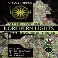 Vision Seeds Auto Northern Lights Feminised