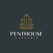 Auto Crypto Cake - Feminized - Penthouse Cannabis Co
