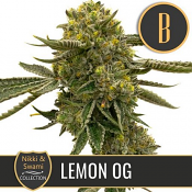 Nikki & Swammi's Lemon OG - Feminized - BlimBurn Seeds