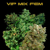VIP Seeds VIP Female Mix Feminized