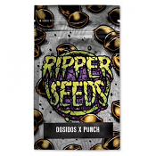 Do-Si-Dos x Purple Punch - Feminized - Ripper Seeds