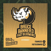 Bruce Banner #3 Fast - Feminized - BlimBurn