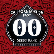 California Kush Fast Version - Feminized - OO Seeds