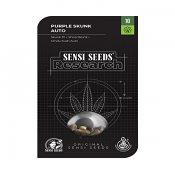 Purple Skunk Auto - Feminized - Sensi Seeds Research