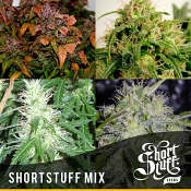 Mix - Regular - Shortstuff Seeds